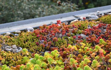 the cost of Dunnet green roof installation