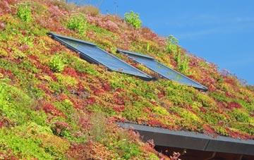 Dunnet living roof systems
