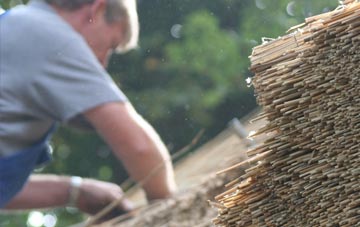 professional Dunnet thatchers